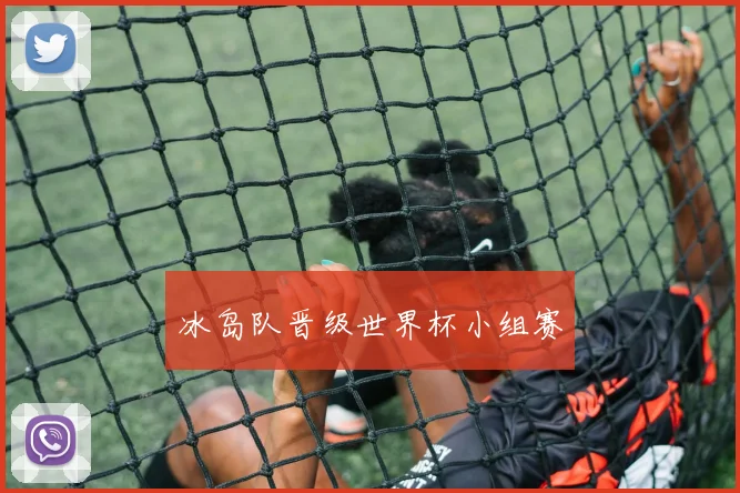 冰岛队晋级世界杯小组赛