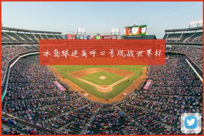 冰岛球迷高呼口号观战世界杯