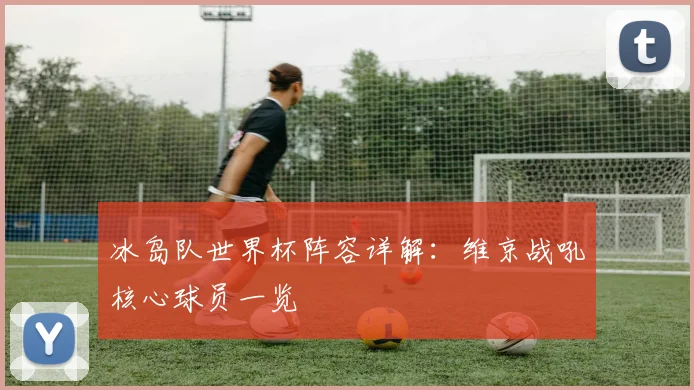 冰岛队世界杯阵容详解:维京战吼核心球员一览