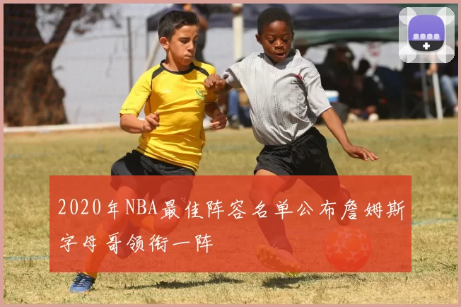 2020年NBA最佳阵容名单公布詹姆斯字母哥领衔一阵