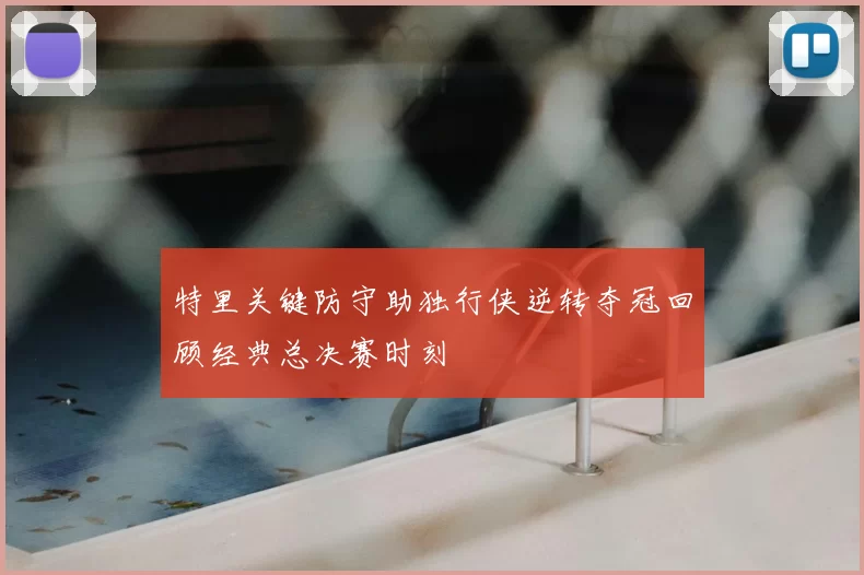 特里关键防守助独行侠逆转夺冠回顾经典总决赛时刻