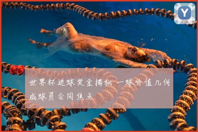 世界杯进球奖金揭秘 一球价值几何成球员合同焦点