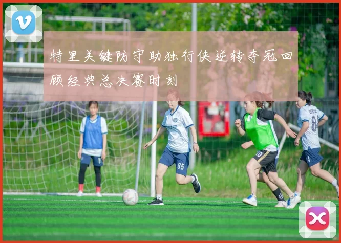 特里关键防守助独行侠逆转夺冠回顾经典总决赛时刻